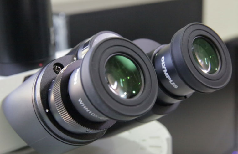 microscopio